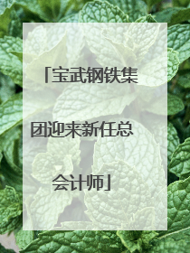 宝武钢铁集团迎来新任总会计师